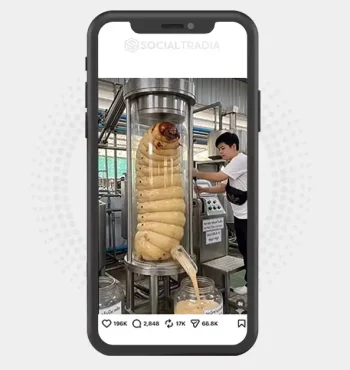 buy Instagram account Exotic Food (162 k Followers)