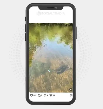 buy Instagram account FishingBait (32k Followers)