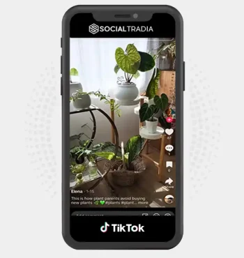 buy Instagram account greennest5 (2k Followers)