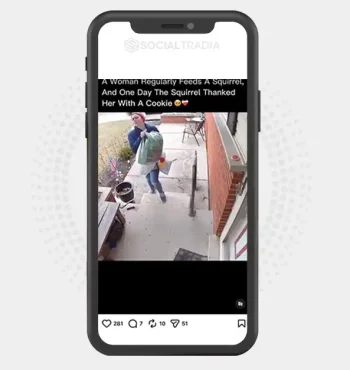 buy Instagram account Inspire Daily (94.1k Followers)