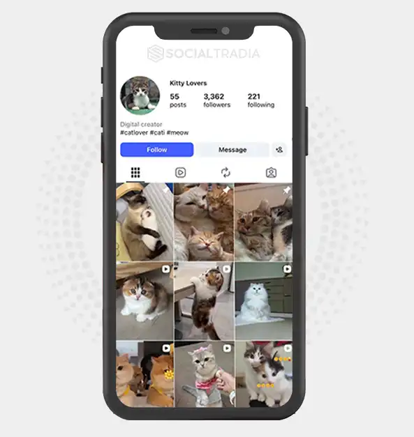 buy Instagram account __kitty_lovers__ (3.3k Followers)