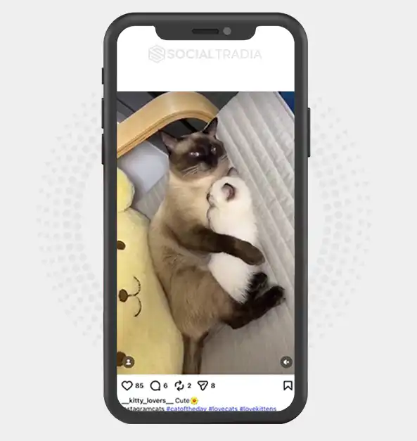 buy Instagram account __kitty_lovers__ (3.3k Followers)