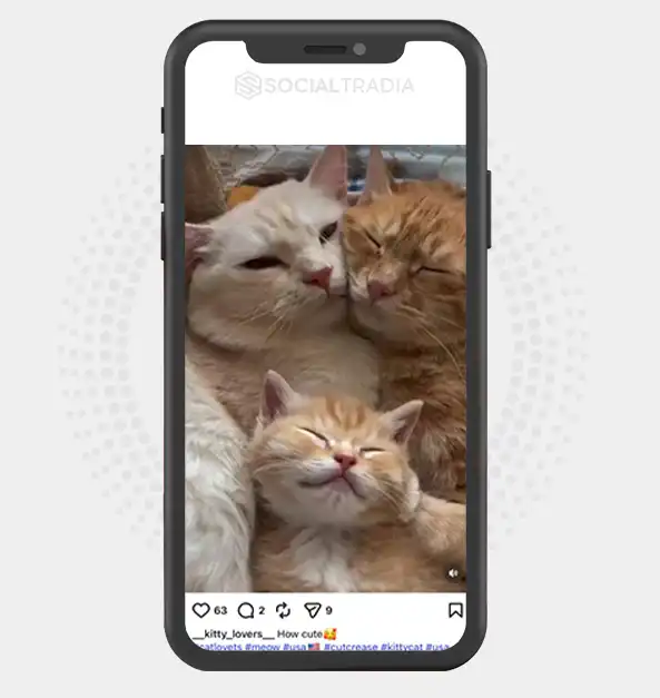 buy Instagram account __kitty_lovers__ (3.3k Followers)