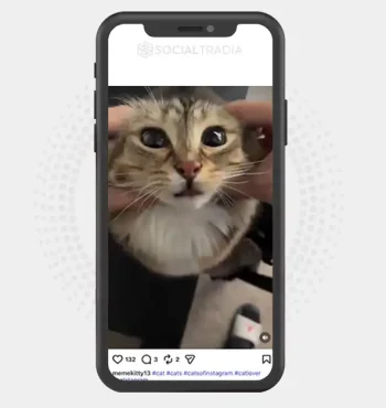buy Instagram account memekitty13 (3.1k Followers)