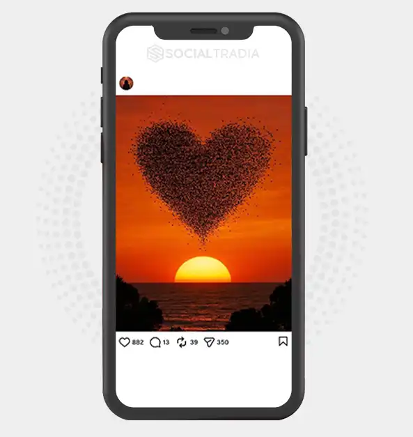 buy Instagram account NatureMagic (26.2k Followers)