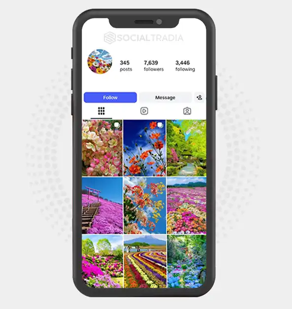 buy Instagram account NatureSoul (7.6k Followers)