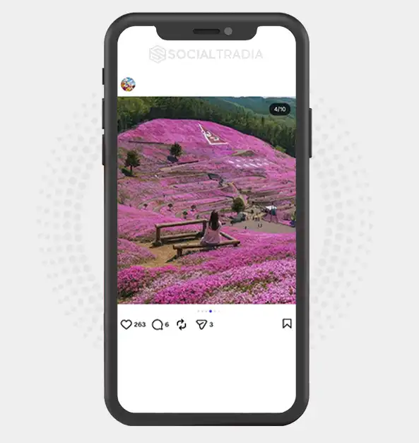 buy Instagram account NatureSoul (7.6k Followers)