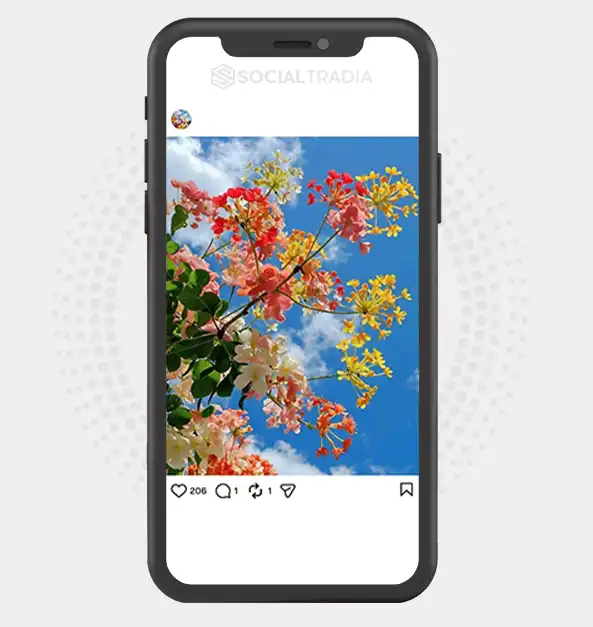 buy Instagram account NatureSoul (7.6k Followers)