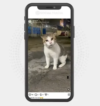 buy Instagram account pie75.29 (2.6 k Followers)