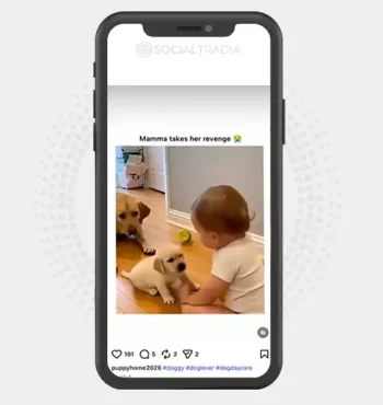 buy Instagram account puppyhome2026 (2.4k Followers)
