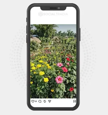 buy Instagram account Travel Terra (2k Followers)