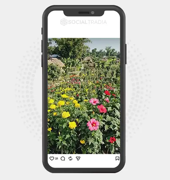 buy Instagram account Travel Terra (2k Followers)