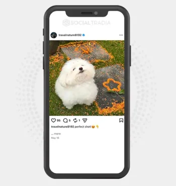 buy Instagram account travelnature8192 (4.3k Followers)