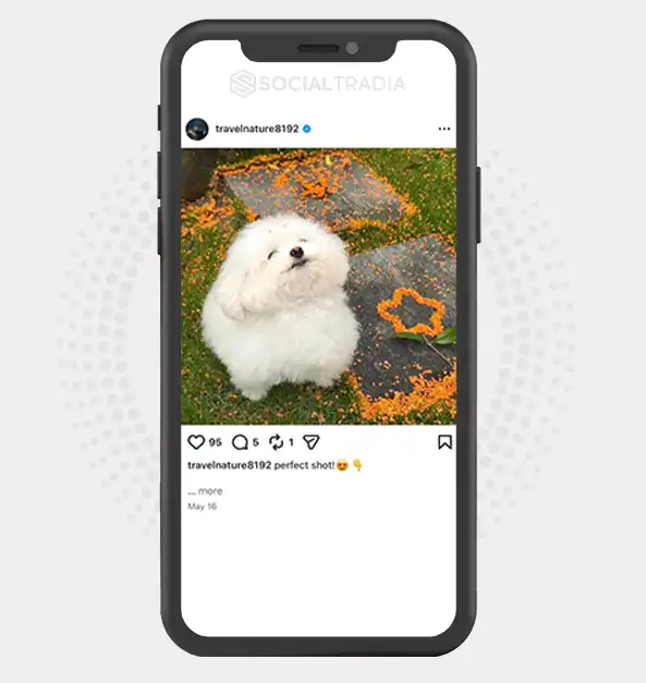 buy Instagram account travelnature8192 (4.3k Followers)