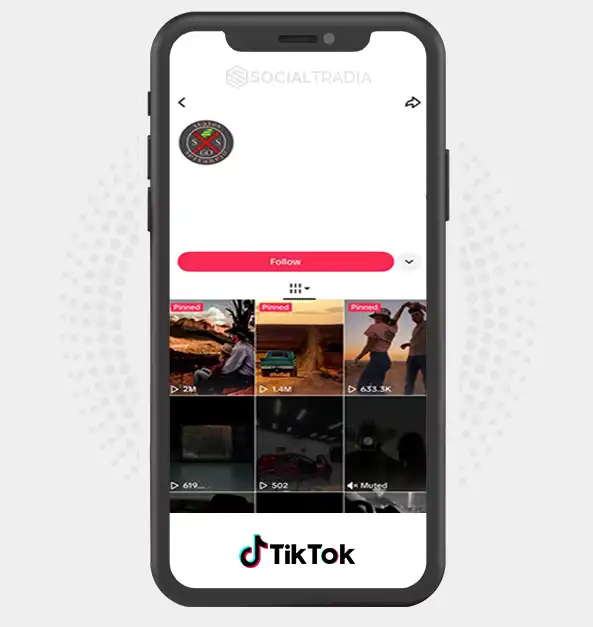 buy Instagram account Viral Studio (243.2k Followers)