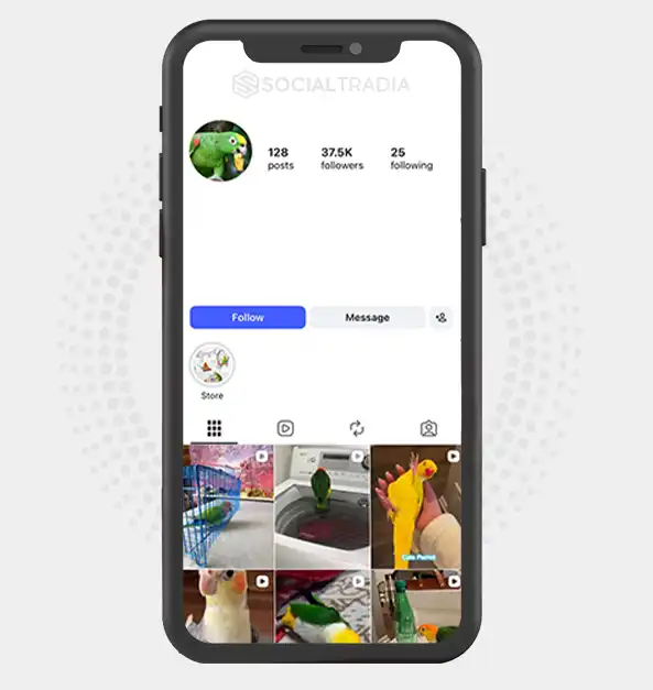 buy Instagram account Wild Wings (37.5k Followers)