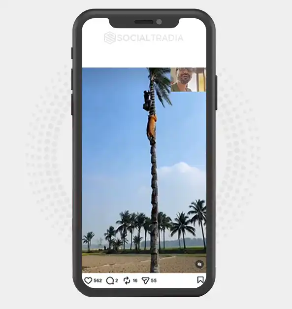 buy Instagram account Wilderness Hub (25.8k Followers)