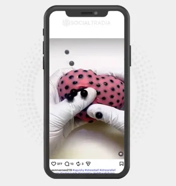 buy Instagram account asmrverseo219 (2.1k Followers)