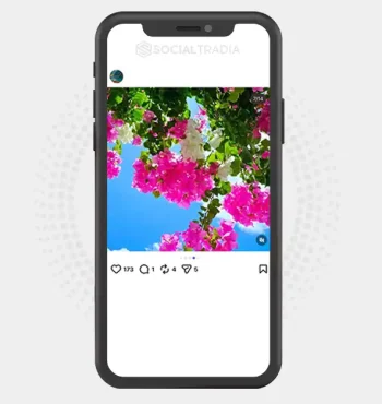 buy Instagram account BloomSeason (25.1k Followers)
