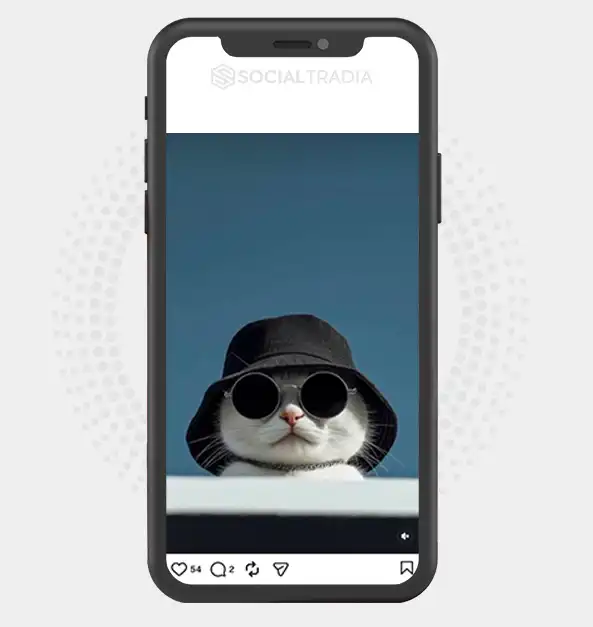 buy Instagram account cat958259 (3.1k Followers)