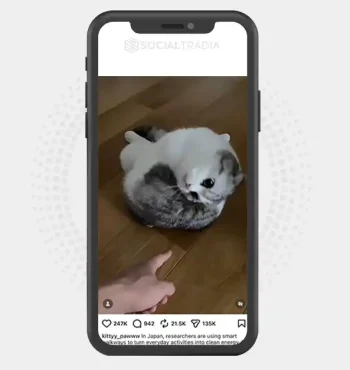 Instagram account funny_catstory (8.9 k Followers)