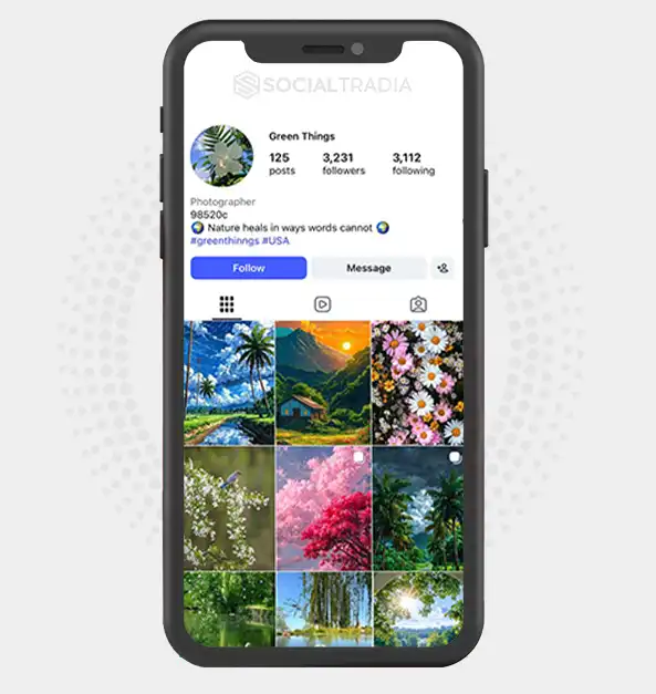 buy Instagram account greenthinngs (3.2k Followers)
