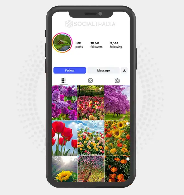 buy Instagram account NatureScenery (10.5k Followers)