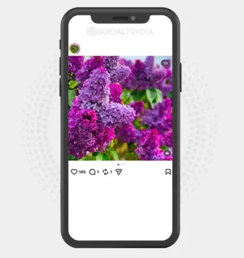 buy Instagram account NatureScenery (10.5k Followers)