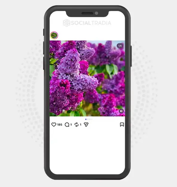 buy Instagram account NatureScenery (10.5k Followers)