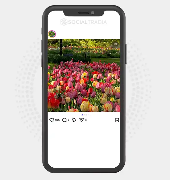 buy Instagram account NatureScenery (10.5k Followers)