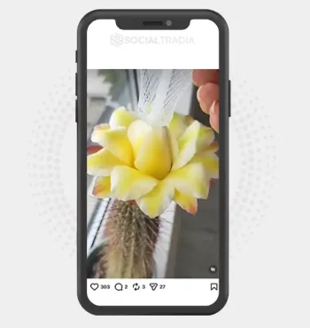buy Instagram account PlantCommunity (148k Followers)