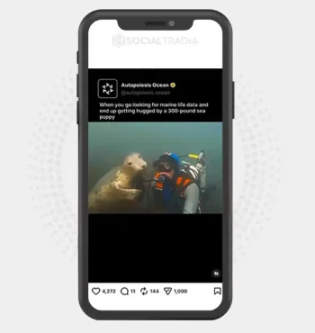 buy Instagram account SealSaga (20.2k Followers)