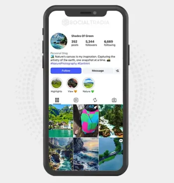 Instagram account shadesofgreen570 (5.3k Followers)