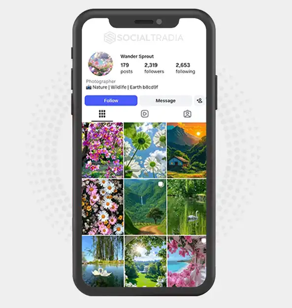 buy Instagram account wandersprout3 (2.3k Followers)