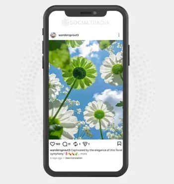 buy Instagram account wandersprout3 (2.3k Followers)