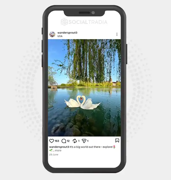 buy Instagram account wandersprout3 (2.3k Followers)