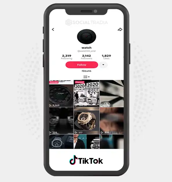TikTok account watchtill_end (2.1k Followers)