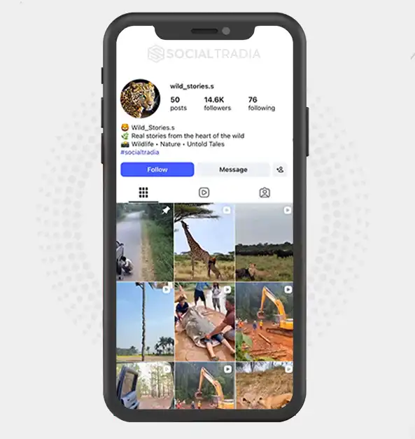 buy Instagram account wild_stories.s (14.6k Followers)