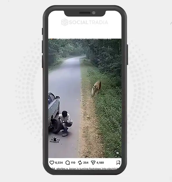 buy Instagram account wild_stories.s (14.6k Followers)