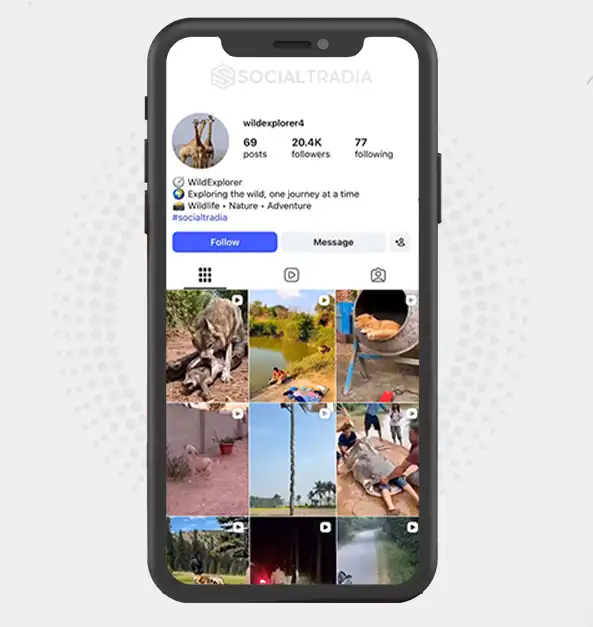 buy Instagram account wildexplorer4 (20.4k Followers)