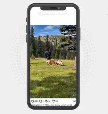 buy Instagram account wildexplorer4 (20.4k Followers)