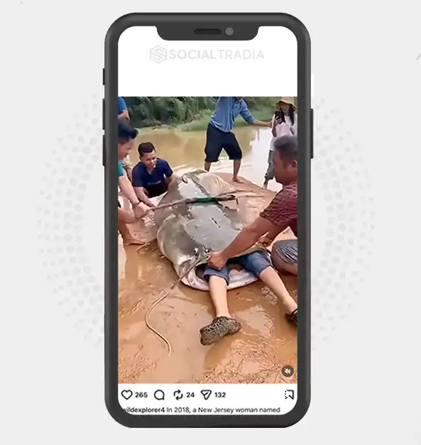 buy Instagram account wildexplorer4 (20.4k Followers)