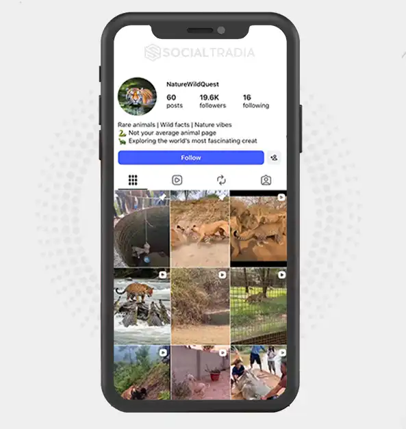 buy Instagram account wildleafadventure (19.6k Followers)