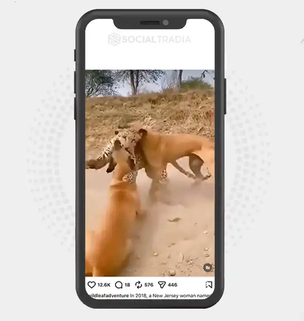 buy Instagram account wildleafadventure (19.6k Followers)