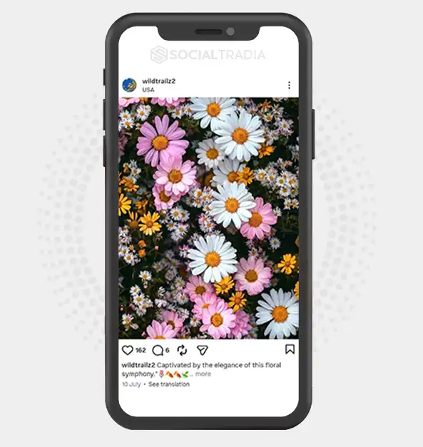 buy Instagram account wildtrailz2 (3.1k Followers)