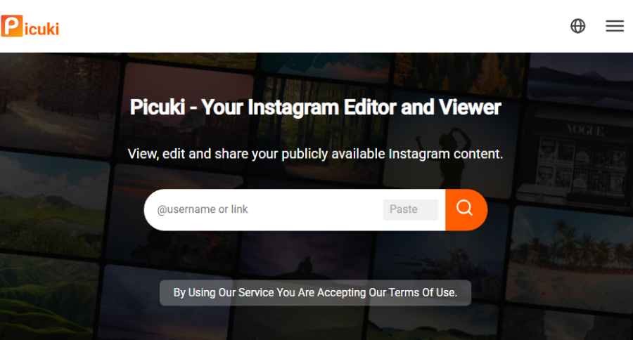 Picuki homepage screenshot