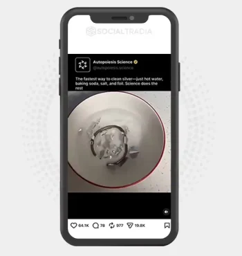 Instagram account DailyScienceDiscoveries (8.1 k Followers)