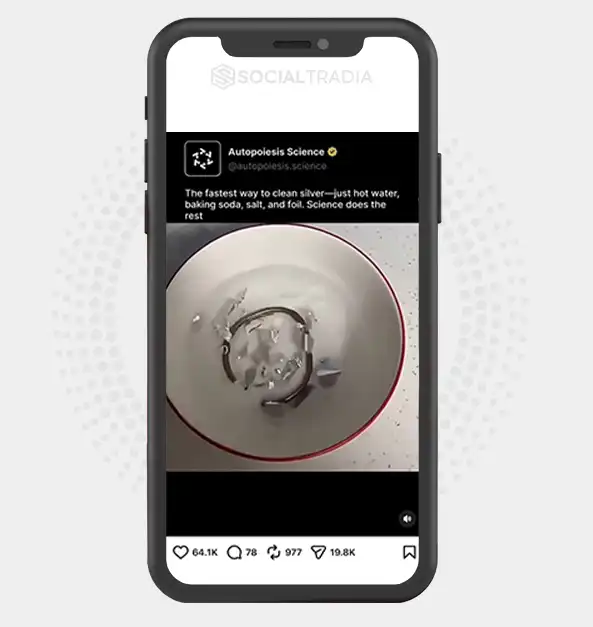 Instagram account DailyScienceDiscoveries (8.1 k Followers)