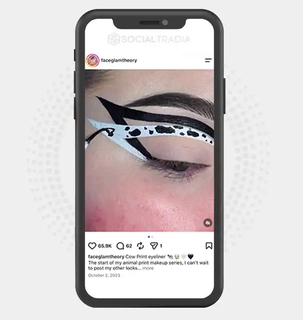 Instagram account FaceGlamTheory (195k Followers)