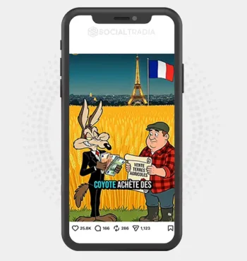 Instagram account Mr Coyote (122k Followers)